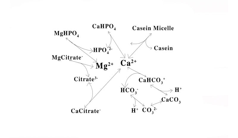 The mineral composition of milk – the ionic framework that keeps the milk system in equilibrium
