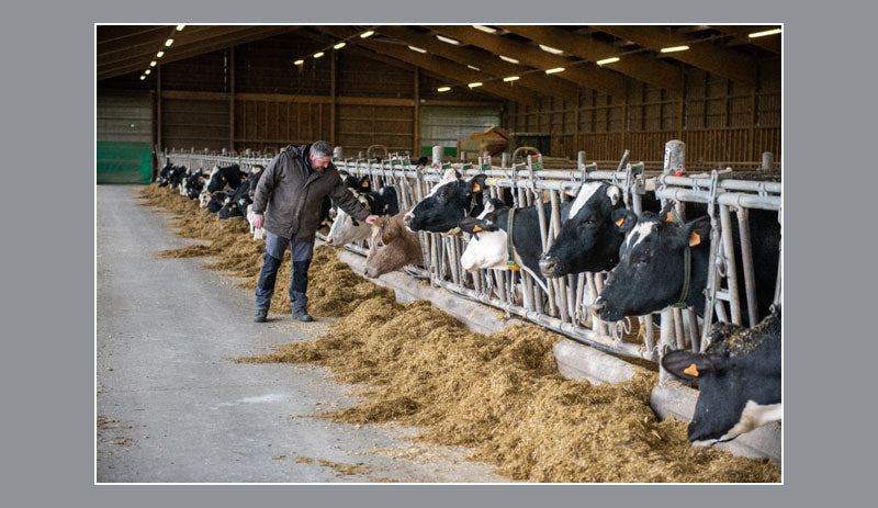 Influence of nutrition on the quantity and quality of milk – metabolic programming of the mammary system through diet